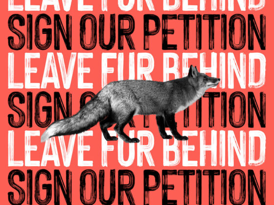 Fur Free Europe